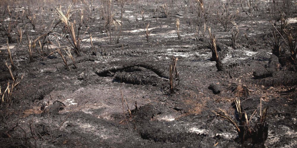 1,5 millones de euros para ayudar a los afectados por los fuegos