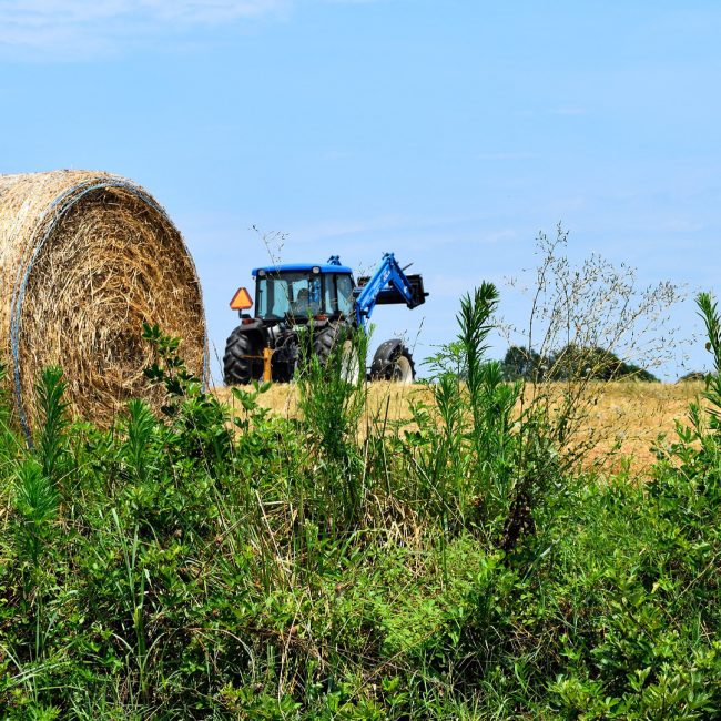 Sube la venta de maquinaria agrícola