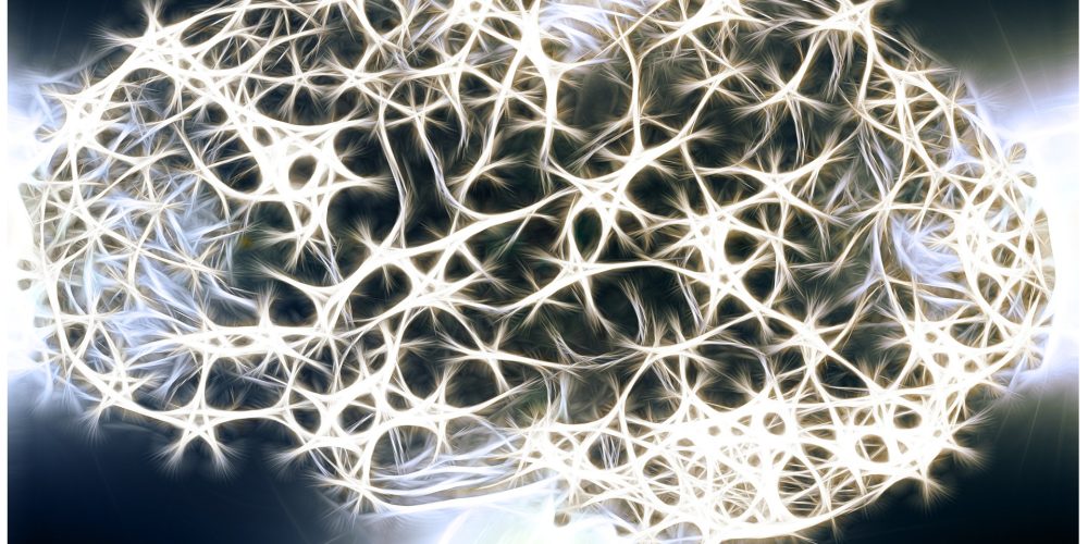 Hasta los 90 años el cerebro produce neuronas