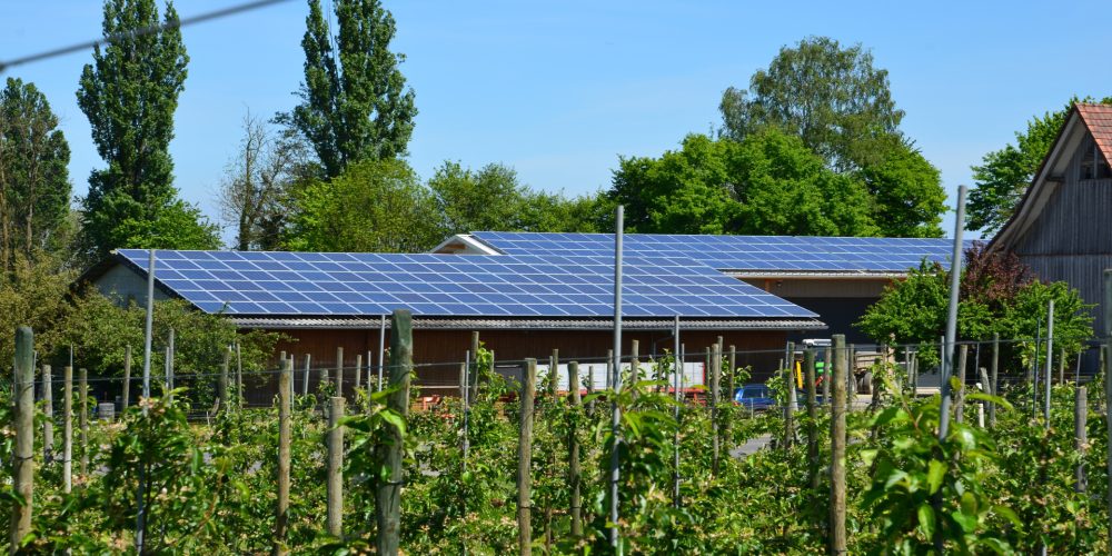 Instalar energías renovables en las explotaciones ganaderas