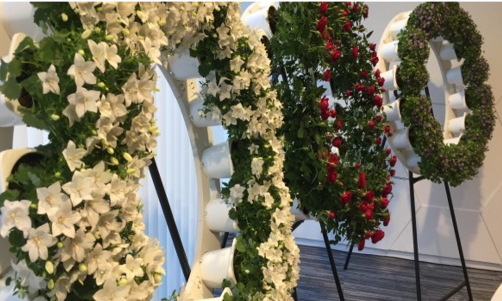 Mira que idea Coronas de flores ecológicas.