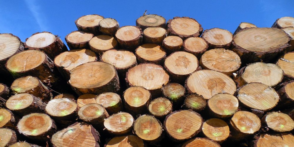 Se crea la Agencia Gallega de la Industria Forestal