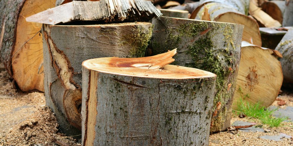 Ayudas para financiar tecnologías forestales