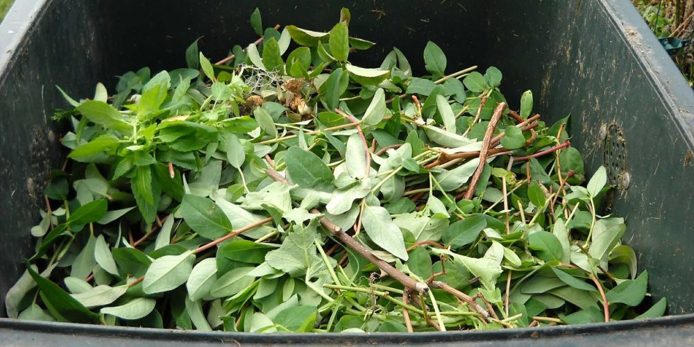 La provincia de Pontevedra impulsa el compostaje reduciendo el volumen de basura