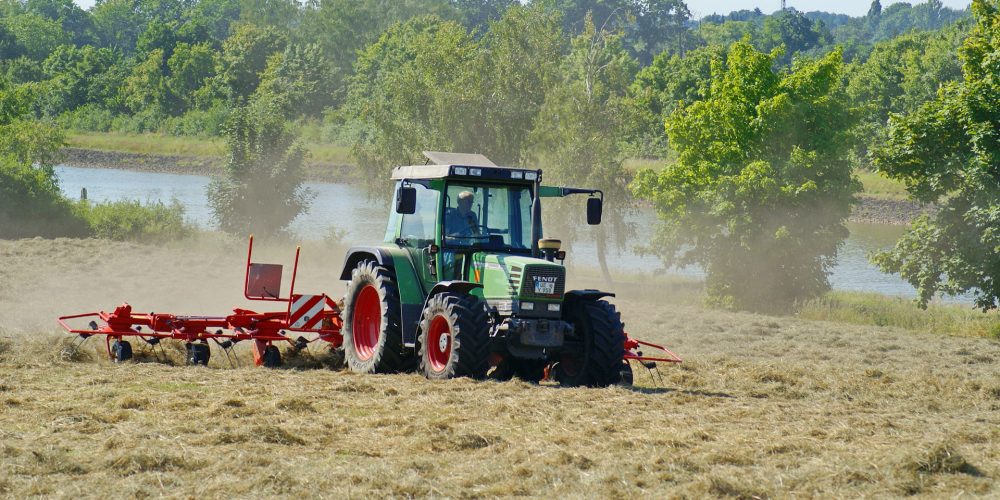 Medio Rural pagará el 90% de las ayudas de la PAC este mes